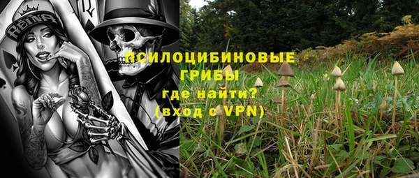 мдпв Верея