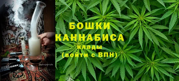 мдпв Верея